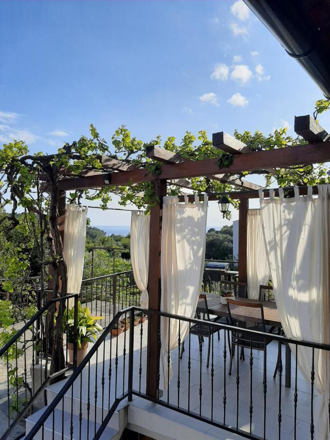 Casa Nonna Tereza Apartment Premantura Ngoại thất bức ảnh